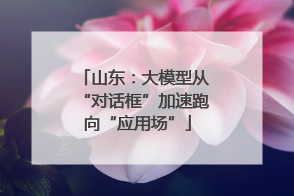 山东：大模型从“对话框”加速跑向“应用场”