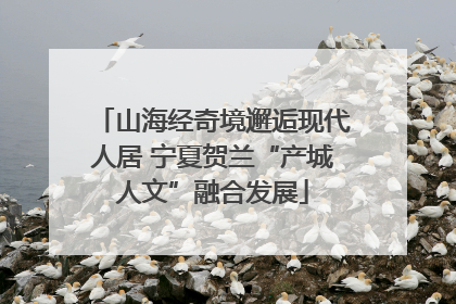 山海经奇境邂逅现代人居 宁夏贺兰“产城人文”融合发展