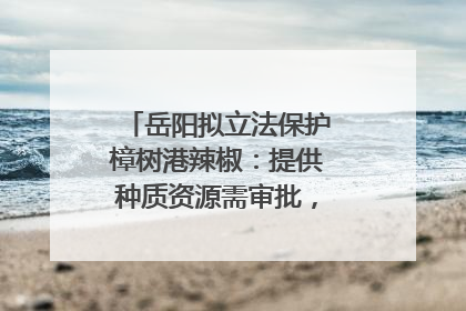 岳阳拟立法保护樟树港辣椒：提供种质资源需审批，违规最高罚5万