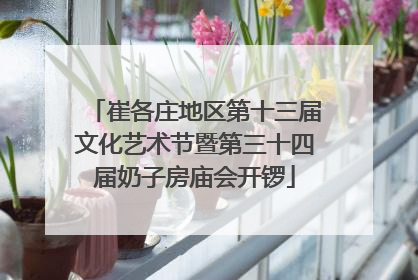 崔各庄地区第十三届文化艺术节暨第三十四届奶子房庙会开锣