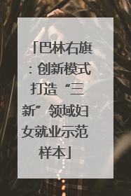 巴林右旗：创新模式 打造“三新”领域妇女就业示范样本
