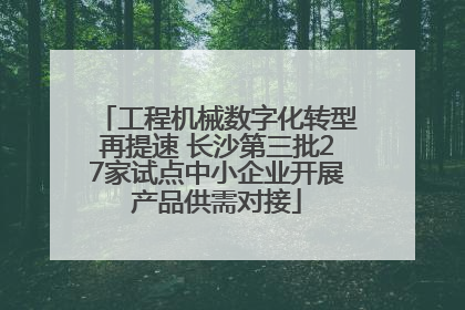 工程机械数字化转型再提速 长沙第三批27家试点中小企业开展产品供需对接