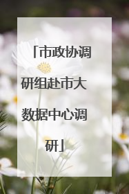 市政协调研组赴市大数据中心调研