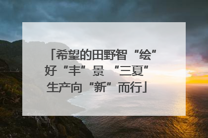 希望的田野智“绘”好“丰”景 “三夏”生产向“新”而行
