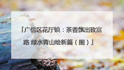 广信区花厅镇：茶香飘出致富路 绿水青山绘新篇（图）