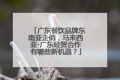 广东餐饮品牌东南亚走俏，马来西亚-广东经贸合作有哪些新机遇？