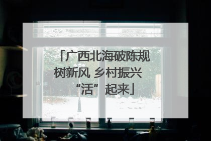 广西北海破陈规树新风 乡村振兴“活”起来