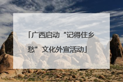 广西启动“记得住乡愁”文化外宣活动