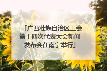 广西壮族自治区工会第十四次代表大会新闻发布会在南宁举行