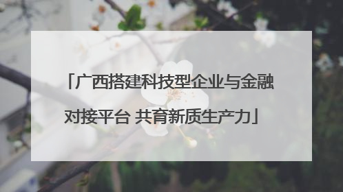 广西搭建科技型企业与金融对接平台 共育新质生产力