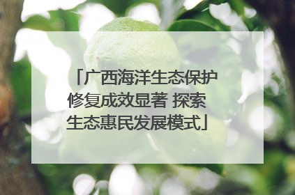 广西海洋生态保护修复成效显著 探索生态惠民发展模式