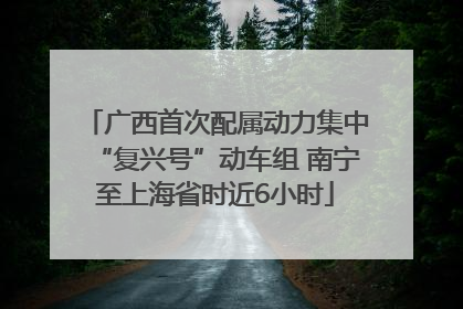 广西首次配属动力集中“复兴号”动车组 南宁至上海省时近6小时