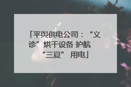 平舆供电公司：“义诊”烘干设备 护航 “三夏” 用电