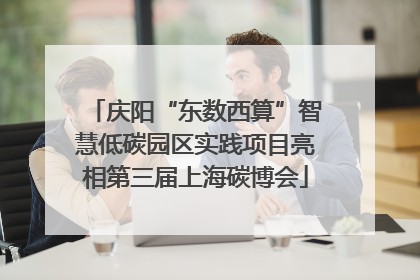 庆阳“东数西算”智慧低碳园区实践项目亮相第三届上海碳博会
