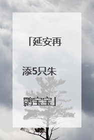 延安再添5只朱鹮宝宝