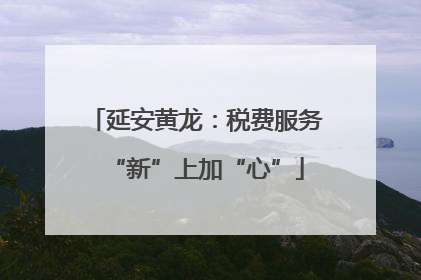 延安黄龙：税费服务“新”上加“心”