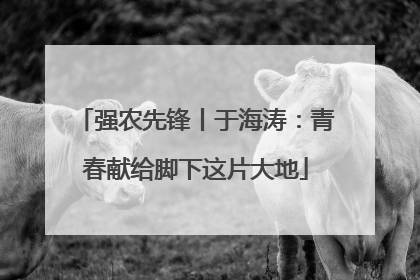 强农先锋丨于海涛：青春献给脚下这片大地