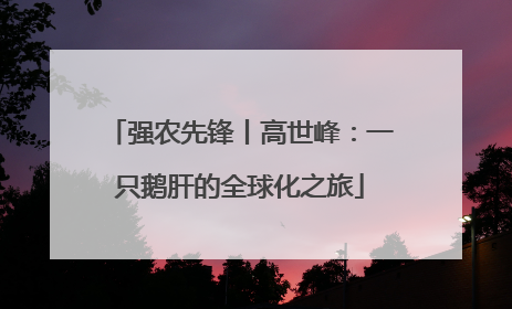 强农先锋丨高世峰：一只鹅肝的全球化之旅