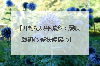 开封杞县平城乡：履职践初心 帮扶暖民心