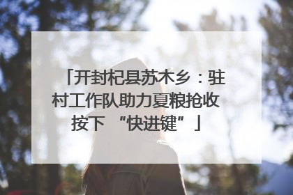 开封杞县苏木乡：驻村工作队助力夏粮抢收按下 “快进键”