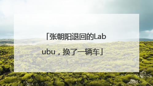 张朝阳退回的Labubu，换了一辆车