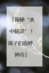 探秘“水中精灵”！孩子们直呼神奇