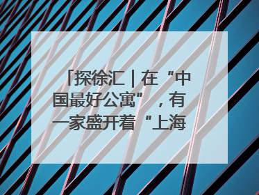 探徐汇｜在“中国最好公寓”，有一家盛开着“上海玫瑰”的书店