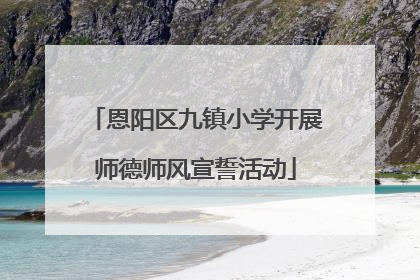 恩阳区九镇小学开展师德师风宣誓活动