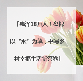 惠泽18万人！盘锦以“水”为笔，书写乡村幸福生活新答卷