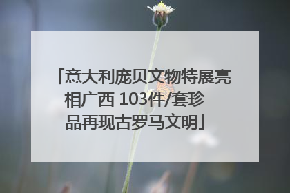 意大利庞贝文物特展亮相广西 103件/套珍品再现古罗马文明
