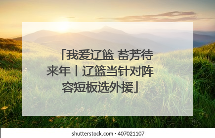 我爱辽篮 蓄芳待来年丨辽篮当针对阵容短板选外援