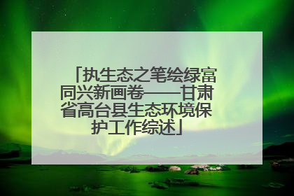 执生态之笔绘绿富同兴新画卷——甘肃省高台县生态环境保护工作综述