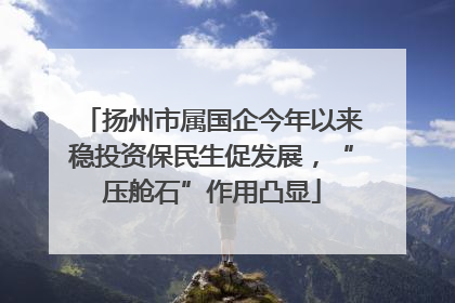 扬州市属国企今年以来稳投资保民生促发展，“压舱石”作用凸显