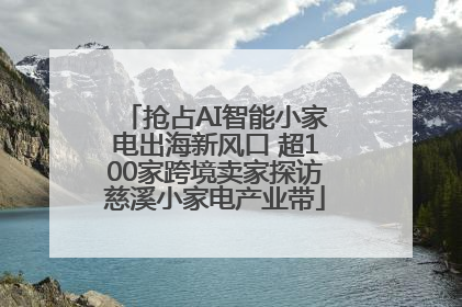 抢占AI智能小家电出海新风口 超100家跨境卖家探访慈溪小家电产业带