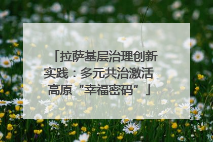 拉萨基层治理创新实践：多元共治激活高原“幸福密码”