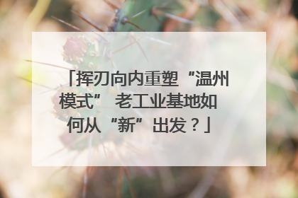 挥刃向内重塑“温州模式” 老工业基地如何从“新”出发？