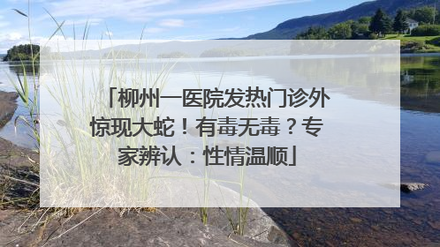 柳州一医院发热门诊外惊现大蛇！有毒无毒？专家辨认：性情温顺