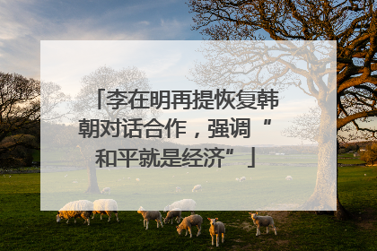 李在明再提恢复韩朝对话合作，强调“和平就是经济”