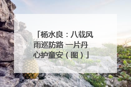 杨水良：八载风雨巡防路 一片丹心护童安（图）