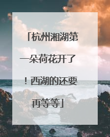 杭州湘湖第一朵荷花开了！西湖的还要再等等