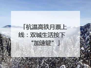 杭温高铁月票上线：双城生活按下“加速键”