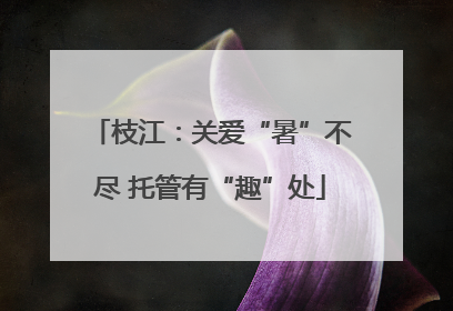 枝江：关爱“暑”不尽 托管有“趣”处