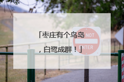 枣庄有个鸟岛，白鹭成群！