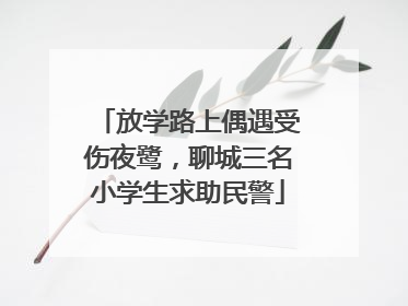 放学路上偶遇受伤夜鹭，聊城三名小学生求助民警