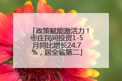 政策赋能激活力！枣庄民间投资1-5月同比增长24.7%，居全省第二