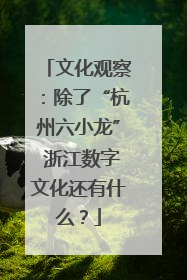 文化观察：除了“杭州六小龙” 浙江数字文化还有什么？