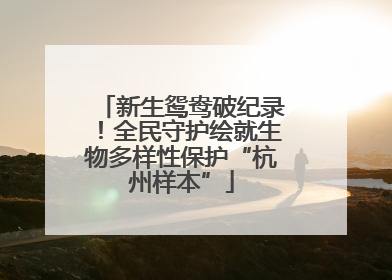 新生鸳鸯破纪录！全民守护绘就生物多样性保护“杭州样本”
