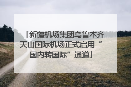 新疆机场集团乌鲁木齐天山国际机场正式启用“国内转国际”通道