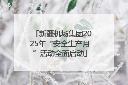 新疆机场集团2025年“安全生产月”活动全面启动