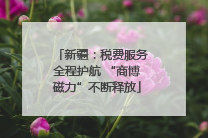 新疆：税费服务全程护航 “商博磁力”不断释放